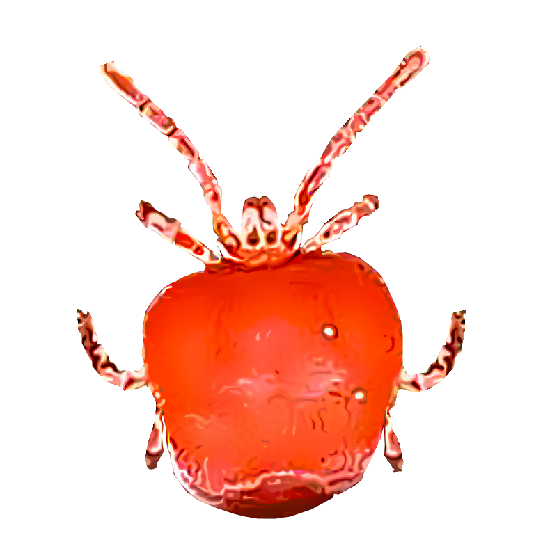 Chiggers - Chigger Control and Exterminator in Nashville | Certified Pest Control