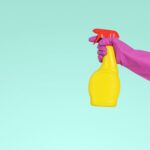 prevent pests - Certified Pest Control